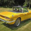 yellow-triumph-stag-1-paint-by-numbers