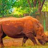 African-Rhinoceros-paint-by-numbers
