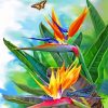 Bird Of Paradise And Butterfly Paint by numbers