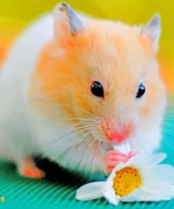 Brown-Hamster-Eating-Flower-paint-by-numbers