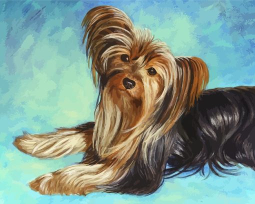 Cute Yorkshire Terrier Dog Paint by numbers
