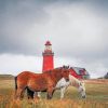 Denmark-Bovbjerg-Lighthouse-paint-by-number
