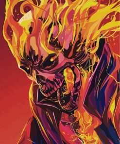 Ghost Rider Illustration Paint by numbers