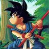 Goku Dragon Ball Z Paint by numbers
