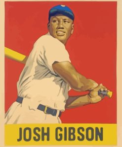 Josh Gibson Illustration Paint by numbers