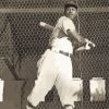 Josh Gibson Player Black And White Paint by numbers