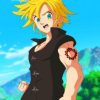 Meliodas X Reader Paint by numbers