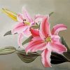 Pink Lilies Paint by numbers