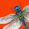abstract-dragonfly-paint-by-numbers