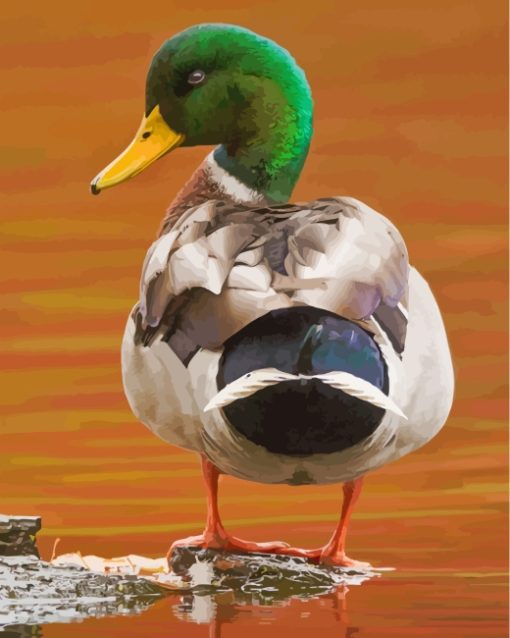 aesthetic-mallard-paint-by-numbers