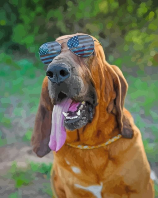 Bloodhound With Sunglasses Paint by numbers