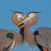 great-blue-heron-couple-paint-by-number