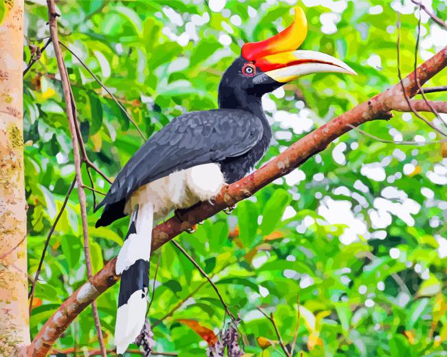 Great Pied Hornbill Bird Paint by numbers