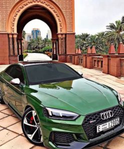 green-audi-paint-by-number