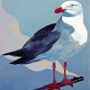 seagull-bird-paint-by-numbers