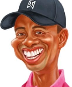 Tiger Woods Paint by numbers