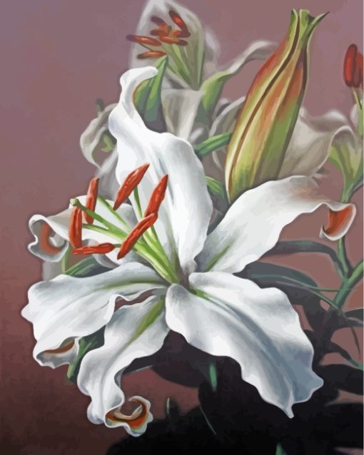 white-magnolia-flower-2-paint-by-numbers
