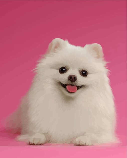 white-pomeranian-paint-by-numbers