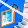 domestic-short-haired-cat-in-thira-paint-by-numbers