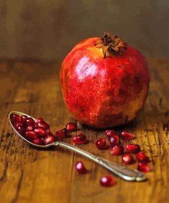 Pomegranate Still Life Photography paint by numbers