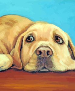 Labrador Retriever paint by numbers