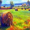 Golden Aby Bales Illustration Paint By Number