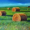Aby Bales In Farmland Paint By Number