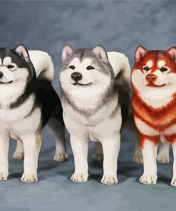 Alaskan malamute Dogs paint by number