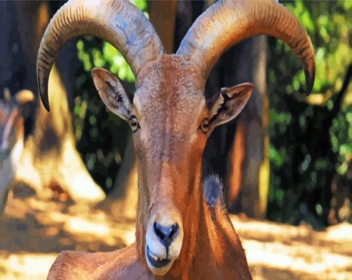 Aoudad Head paint by numbers