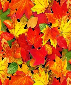 Autumn Foliage Leaves paint by numbers