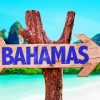 Bahamas paint by numbers