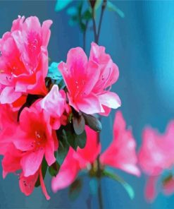 Beautiful Pink Azaleas Paint By Number