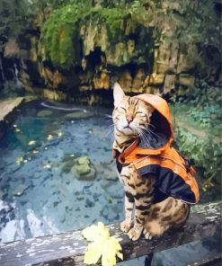 Bengal Cat with Raincoat paint by numbers