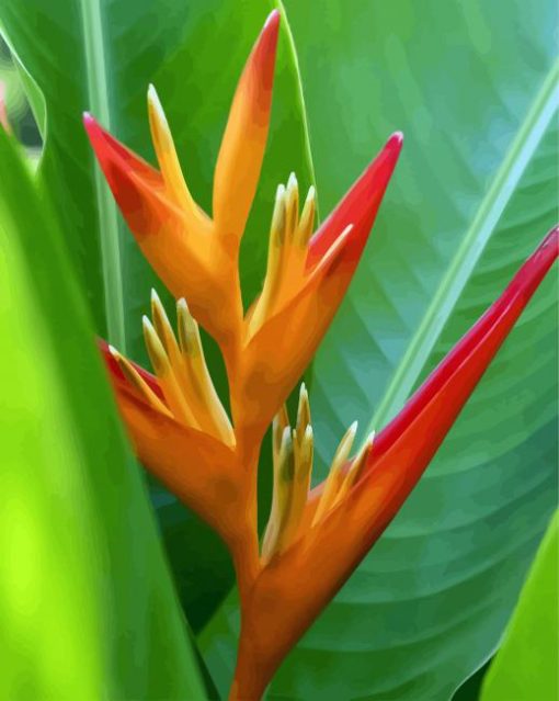 Colorful Bird Of Paradise Plant Paint By Number