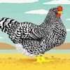 Black and White Hen paint by numbers