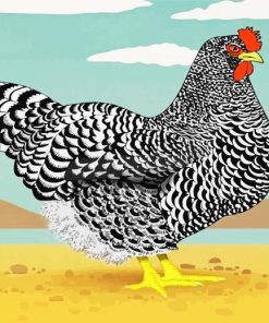 Black and White Hen paint by numbers