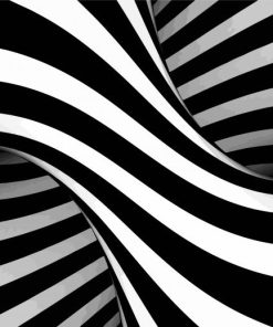 Black And White Illustration paint by numbers