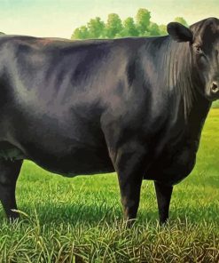 Black Angus Cattle paint by numbers
