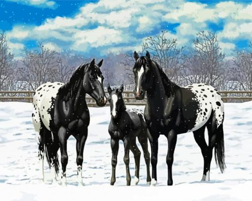 Black Appaloosa Family paint by numbers