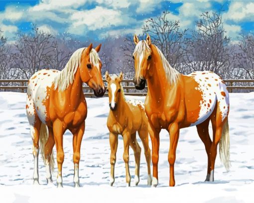 Blonde Appaloosa Horses paint by numbers