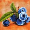 Blueberries Fruit paint by numbers