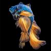 Blue And Gold Siamese Fish Paint By Number