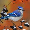 Blue Jay Bird paint by numbers