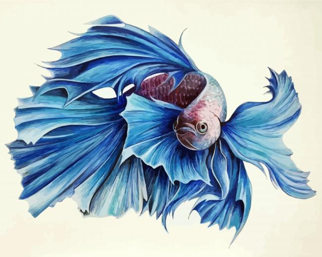 Blue Siamese Fish Paint By Number