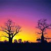 Boab Trees Silhouette Paint By Number