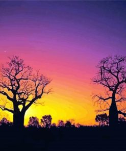 Boab Trees Silhouette Paint By Number