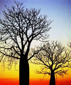 Boab Trees At Sunset Paint By Number