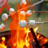 Bonfire Marshmallows paint by numbers