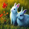 Bunnies and Butterfly paint by numbers