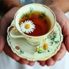 Chamomile Tea Cup paint by numbers